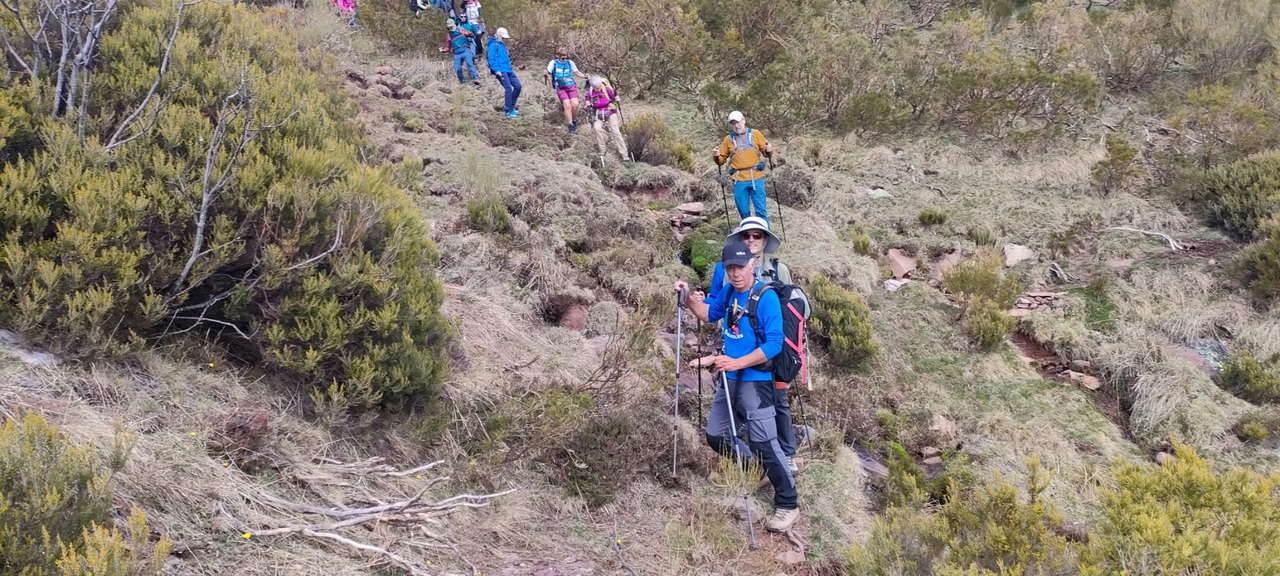 WhatsApp Image 2026-04-08 at 07.40.55